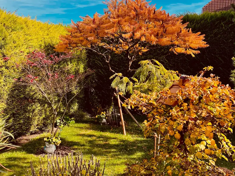Designer Haus in Enzesfeld Lindabrunn inkl. Einrichtung [Video in der Beschreibung]