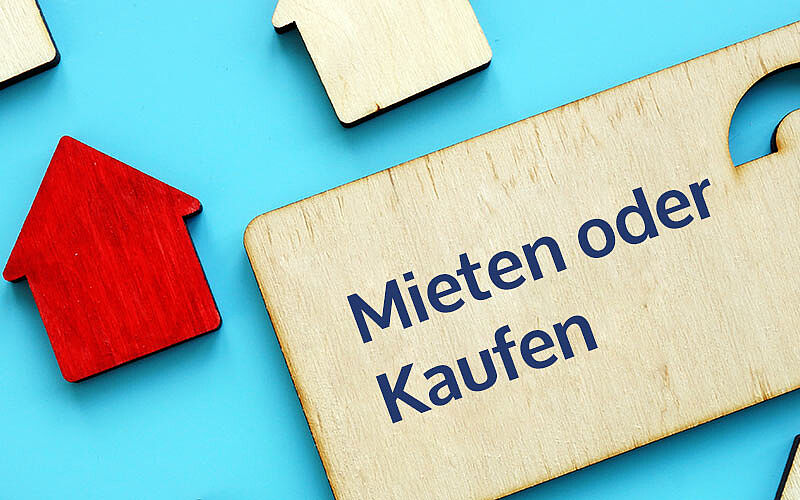 mieten oder kaufen auf holz neben holzhaus