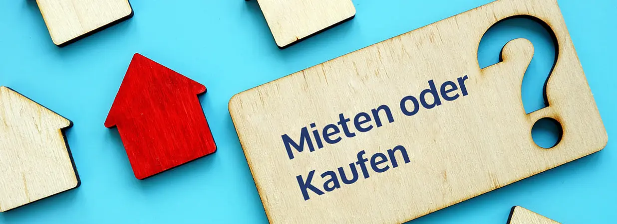 mieten oder kaufen auf holz neben holzhaus