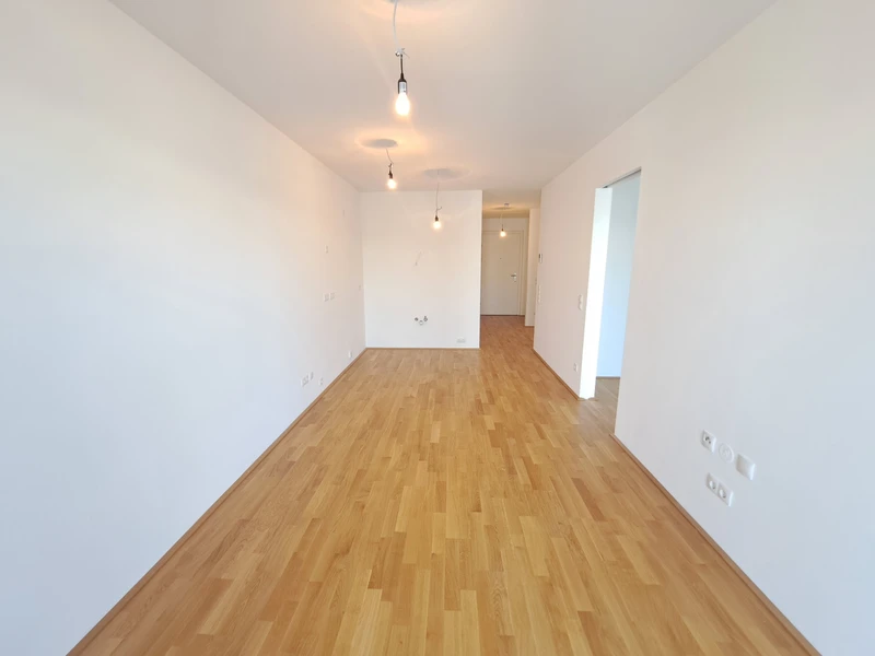 Zuhause in Stockerau: Das Koloman