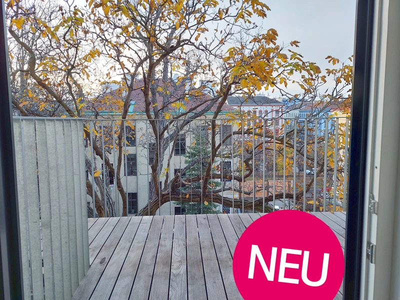 Altbau-Rohdiamant mit Balkon – Sanierungsobjekt im Herzen des 9. Bezirks