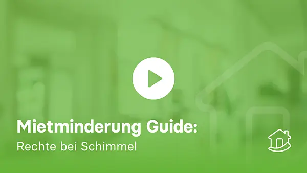 Mietminderung Guide: Rechte bei Schimmel & Wasserschaden - inkl. Mietminderungstabelle