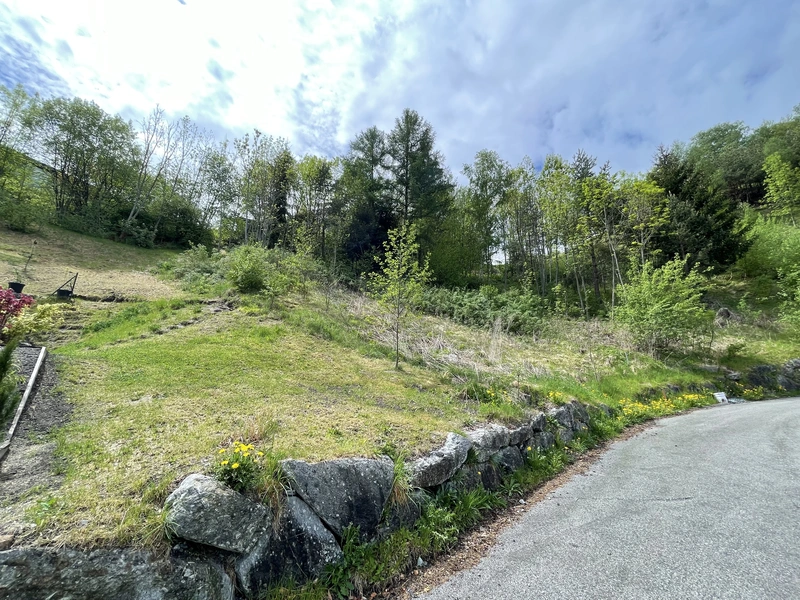 Baugrundstück in Ruhelage