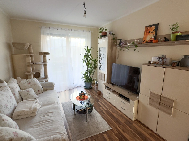 Moderne 4-Zimmer Gartenwohnung beim Badesee