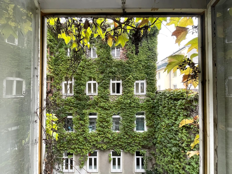 Altbau-Charme mit Renovierungspotenzial: Wohnungen in historischem Gebäudeensemble