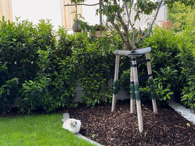 Familienparadies in Wien: Gepflegte 4-Zimmer-Wohnung mit Garten und Terrasse!