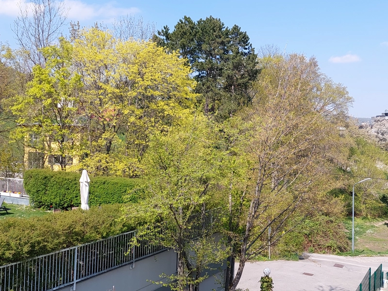 Preisreduktion! Garten Residenz – einziehen und zu Hause fühlen!