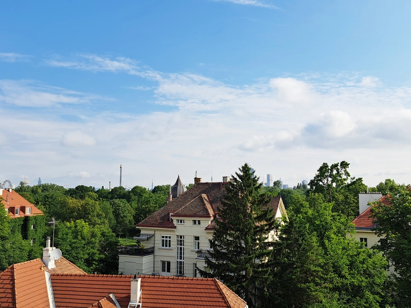 Altbauwohnung mit traumhaften Praterblick!