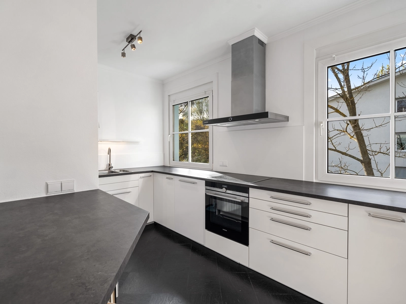 Exclusive Penthouse Apartment in a quiet Location near the Lainzer Tiergarten