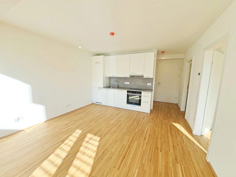 ALF – Ihr neues Zuhause in der Donaustadt: Urban, grün, perfekt angebunden!