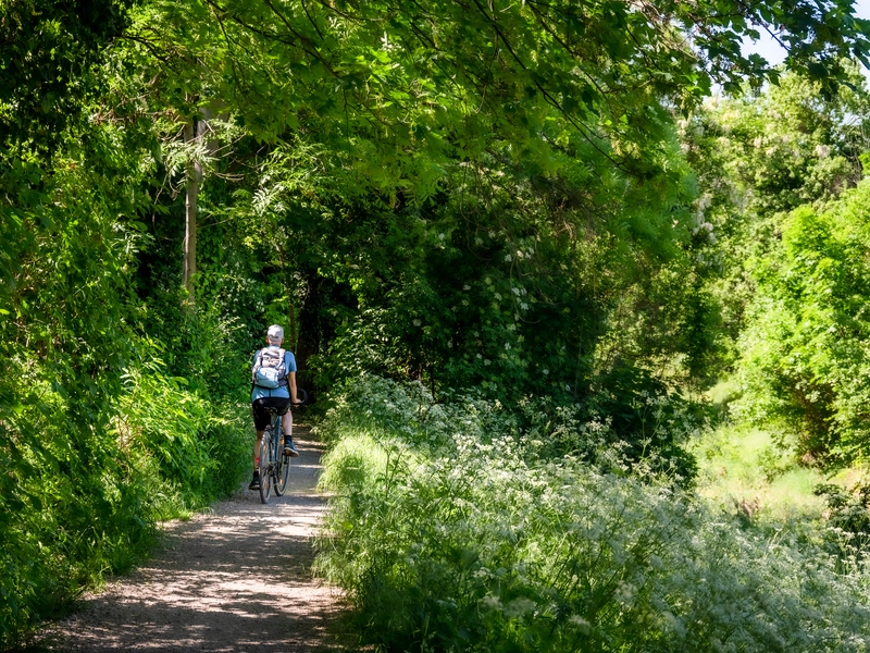 Städtischer Luxus, Naturnahe Ruhe: LIESING GARDENS vereint beides