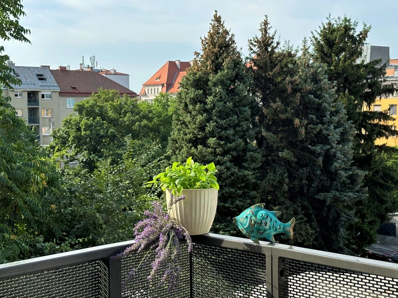 Ideales Investment mit Perspektive - Erzherzog-Karl-Straße!