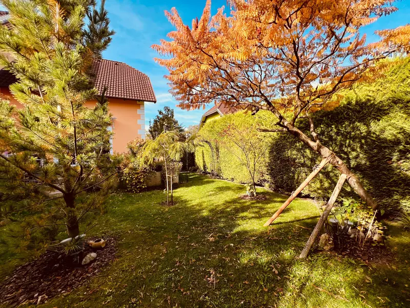 Designer Haus in Enzesfeld Lindabrunn inkl. Einrichtung [Video in der Beschreibung]