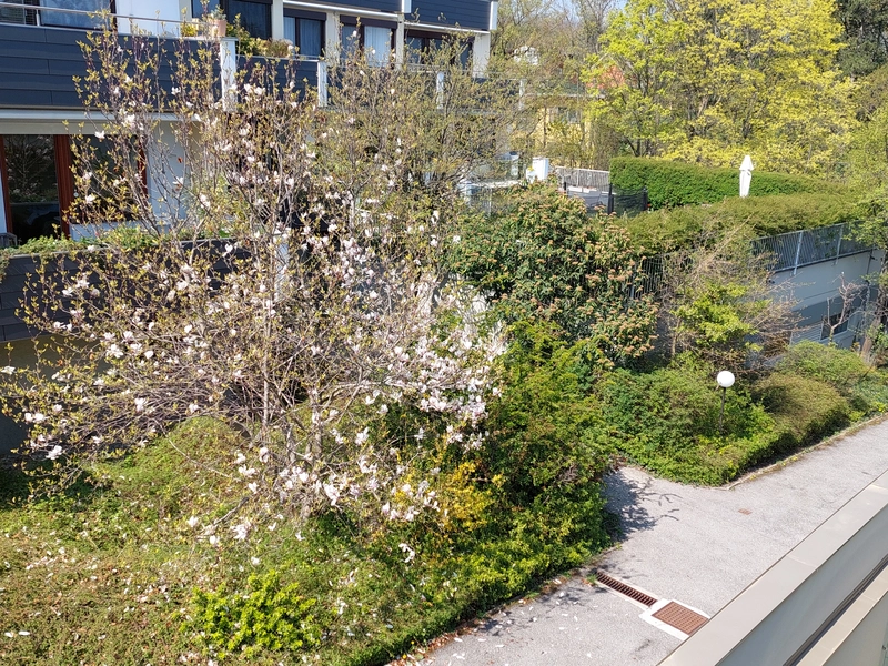 Preisreduktion! Garten Residenz – einziehen und zu Hause fühlen!