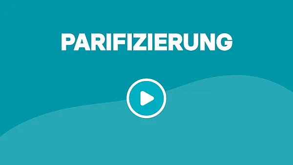 Parifizierung