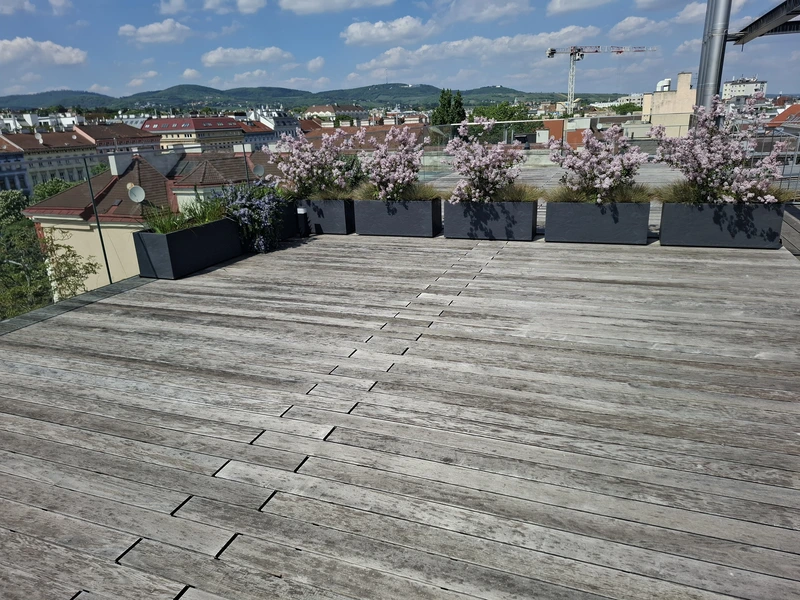 Spektakuläre Dachgeschoßmaisonette mit Terrassentraum und Blick auf die Canisiuskirche