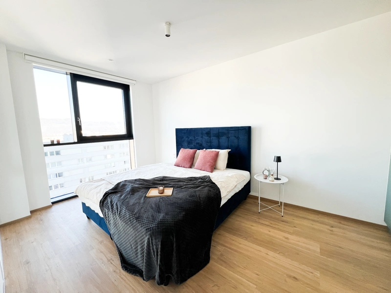 3 Zimmer Traumwohnung im 15.OG mit grandioser Aussicht ab 01. Juni!
