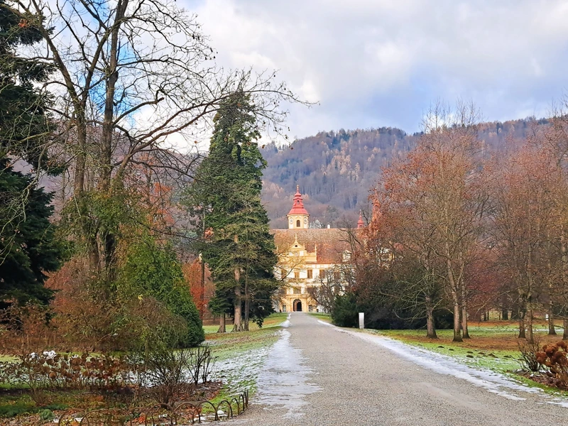 Traumwohnungen in Graz: Zeitlose Eleganz trifft auf Naturnähe