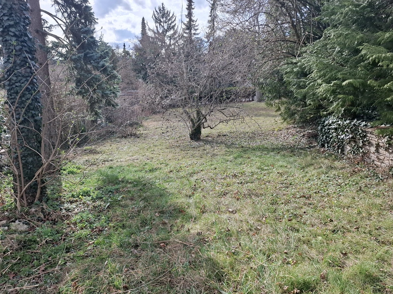 Exklusives Baugrundstück am Mitterberg – Ruhe, Natur und Lebensqualität
