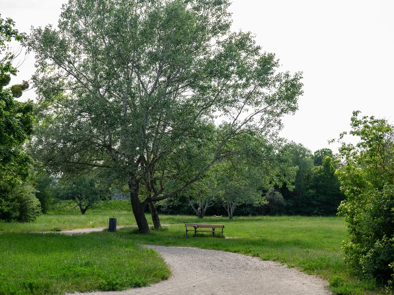 Städtischer Luxus, Naturnahe Ruhe: LIESING GARDENS vereint beides