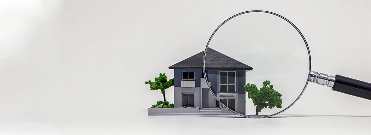 haus unter der lupe