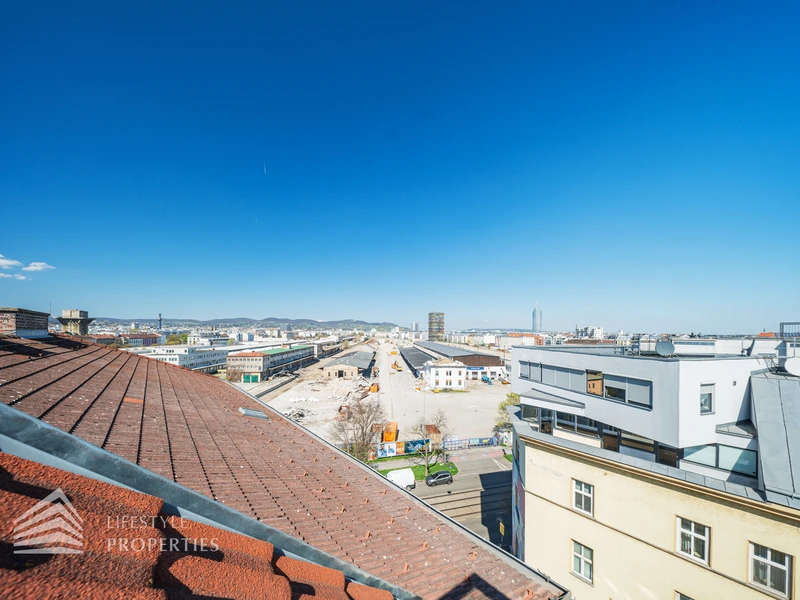 Elegante 3-Zimmer Dachgeschosswohnung mit Terrasse