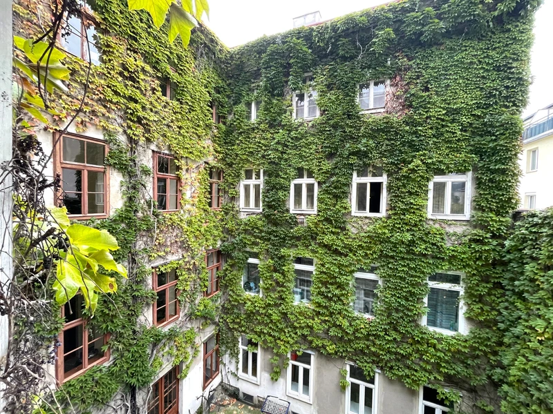 Altbau-Charme mit Renovierungspotenzial: Wohnungen in historischem Gebäudeensemble