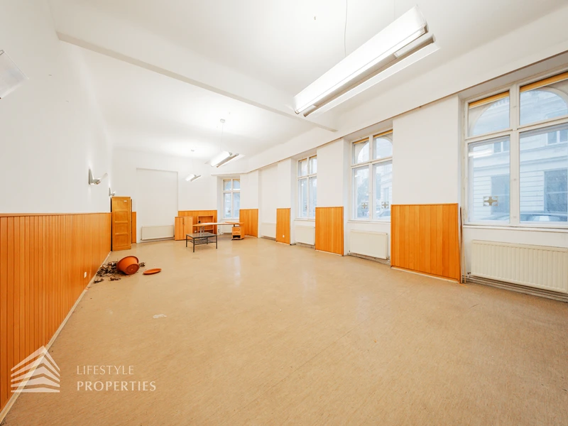 Helle Altbaufläche zum selber gestalten, Nähe Schönbornpark