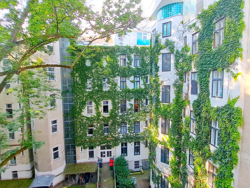 Altbauwohnung mit traumhaften Praterblick!