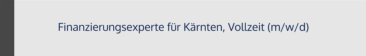 Finanzierungsexperte Kärnten