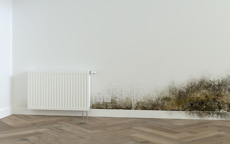 Wohnzimmerwand mit großflächigem Schimmelbefall neben einem Heizkörper.