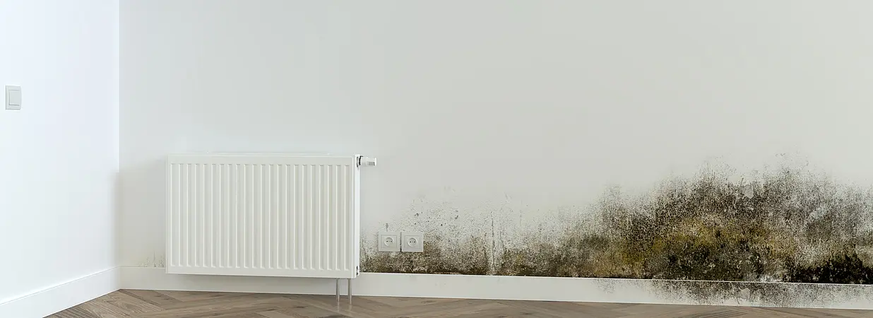 Wohnzimmerwand mit großflächigem Schimmelbefall neben einem Heizkörper.