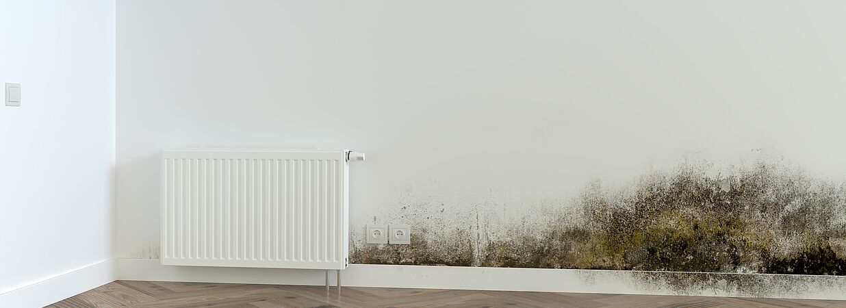 Wohnzimmerwand mit großflächigem Schimmelbefall neben einem Heizkörper.