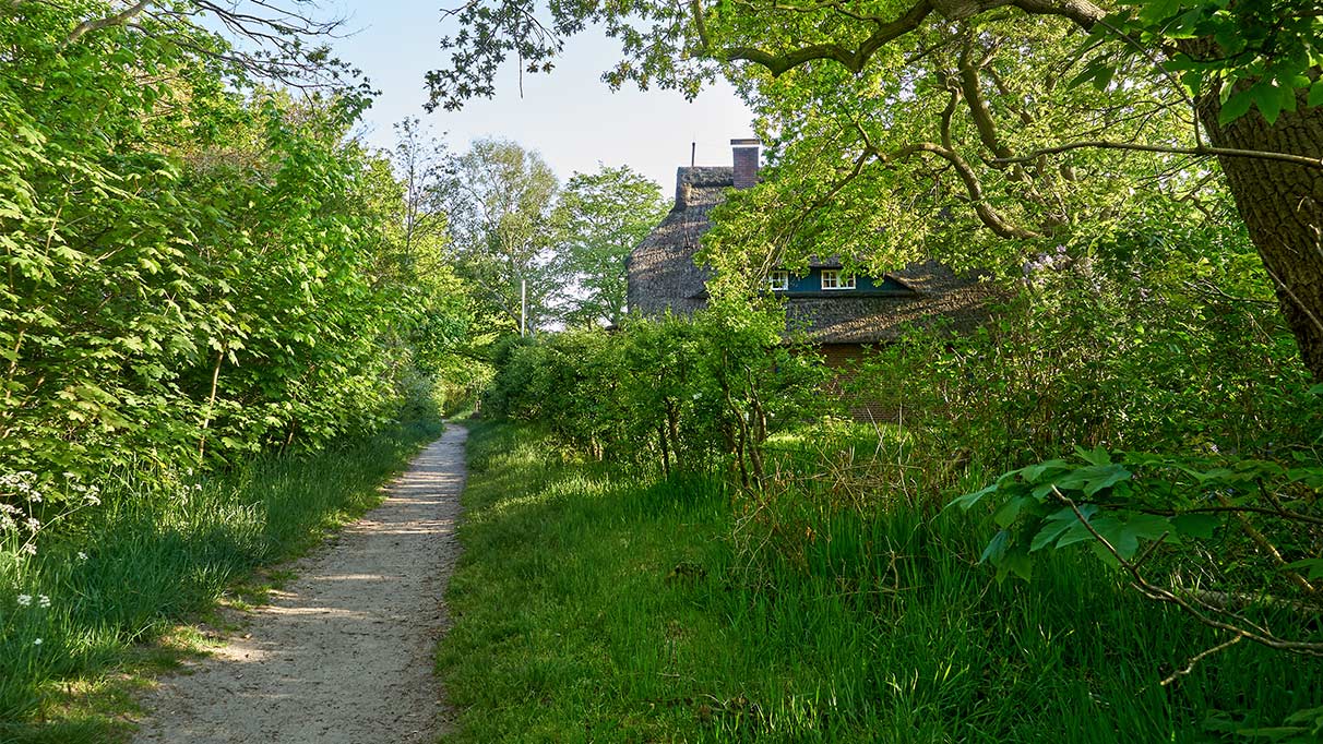 kieselweg zum haus