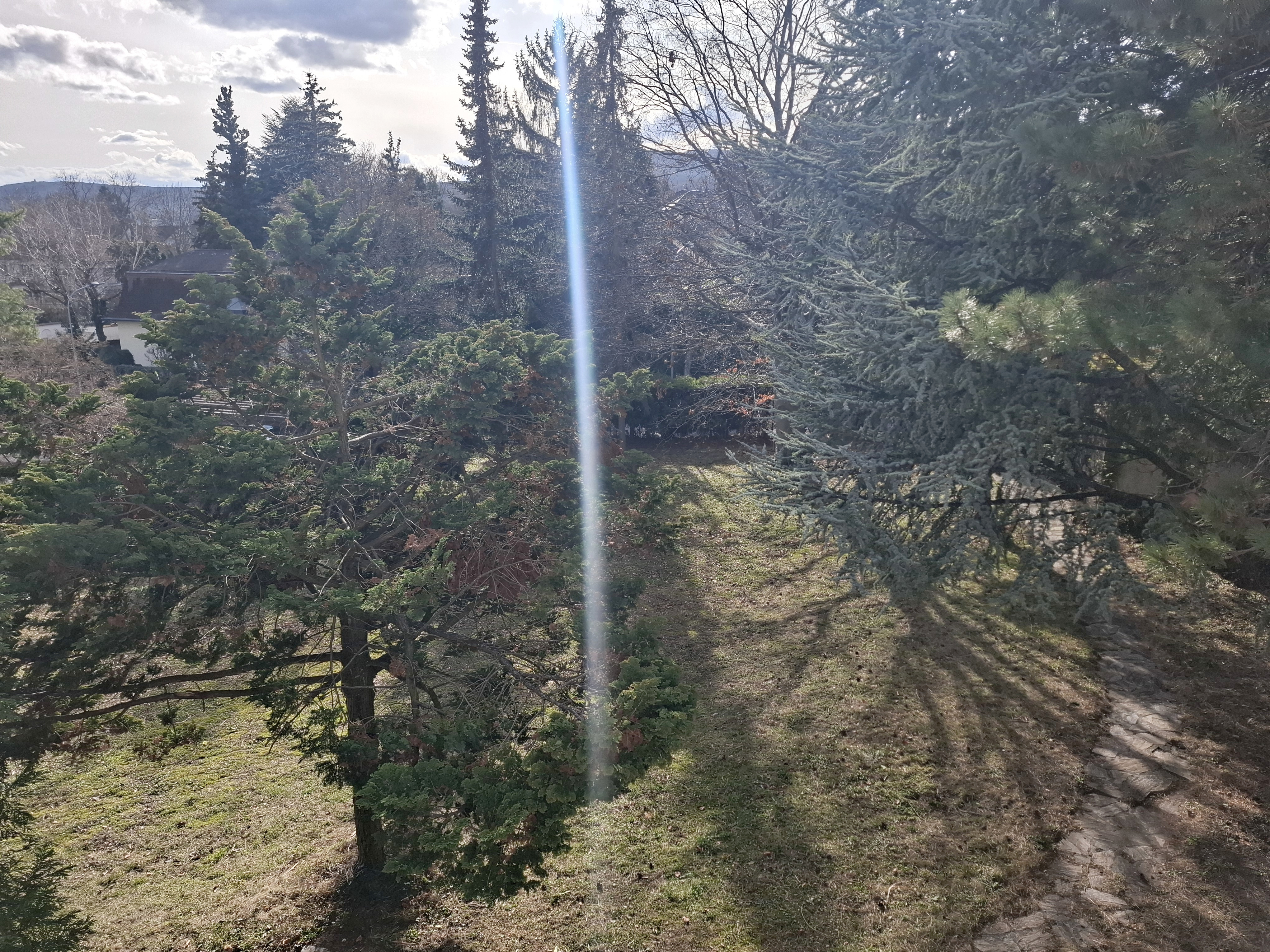 Exklusives Baugrundstück am Mitterberg – Ruhe, Natur und Lebensqualität